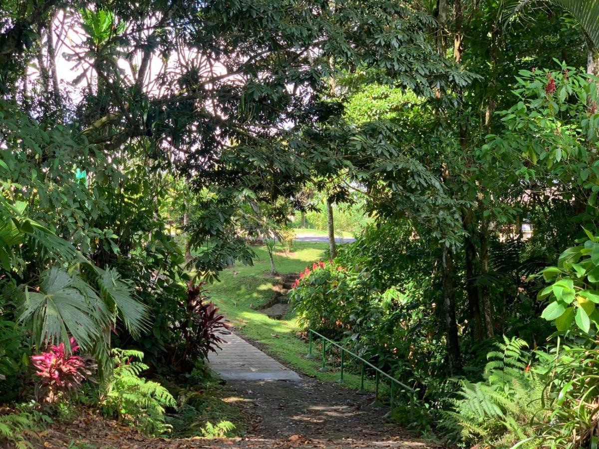 Confort Arenal La Fortuna Exterior photo